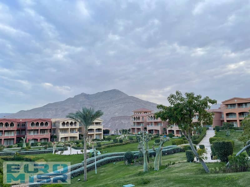 WhatsApp Image 2025-09-24 at 2.21. 09 PM (4). jpeg WhatsApp Image 2025-09-24 at 2.21. 09 PM (4). jpeg