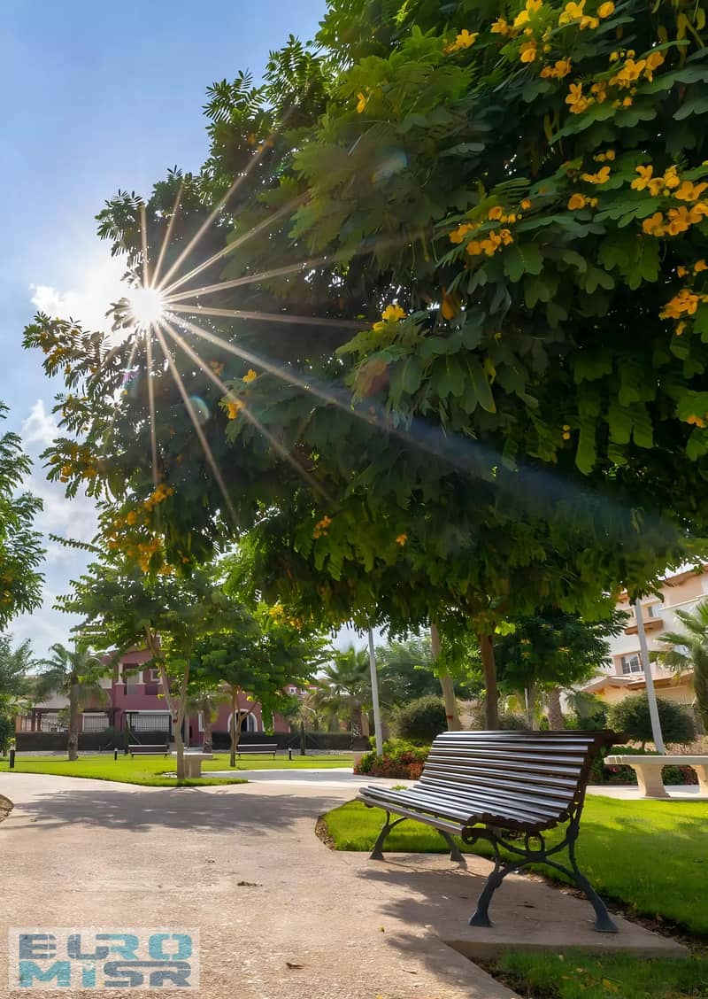 8 ja;ldksjkajdlsij. jpg