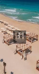 15 images (1) (3). png