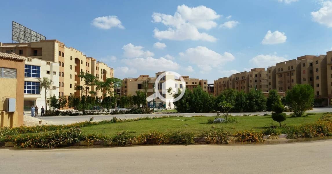 8 482248105_9234868846566552_1322248039426982833_n. jpg