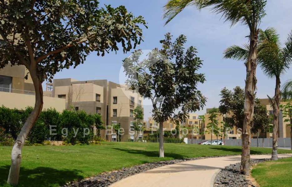 8 Palm Parks 3 1 (Custom). png