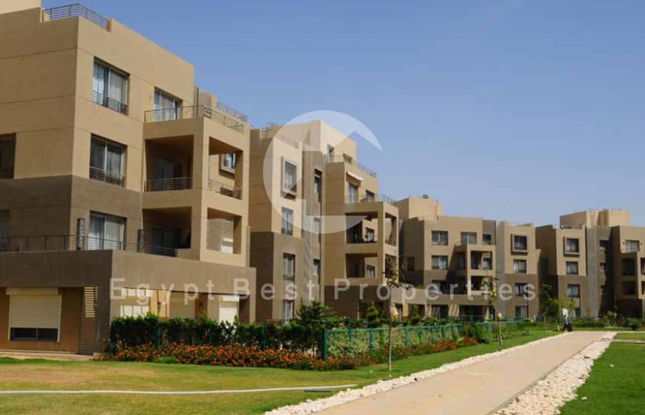 9 Palm Parks 4 1 (Custom). png