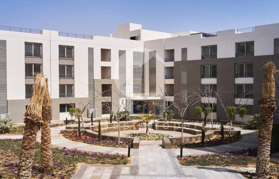 10 Palm Parks 5 1 (Custom). jpg