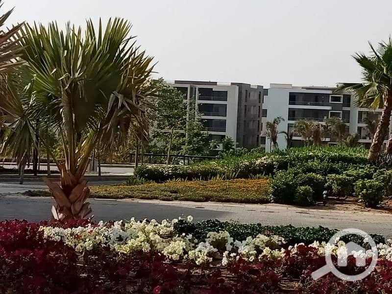 4 620e0ad435960_6183c9f3549cc_10. jpg