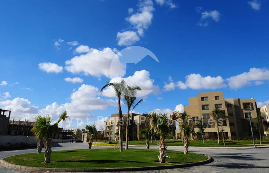 6 OGk3BFH8TEjRuYAD4ti3PzwakPINql (Custom). jpg