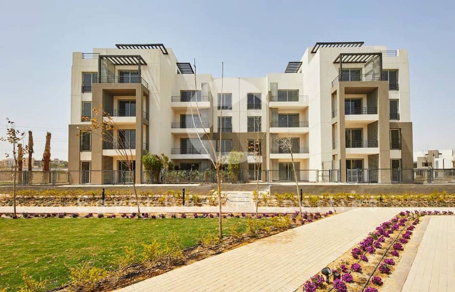 7 Palm Parks 1 1 (Custom). jpg