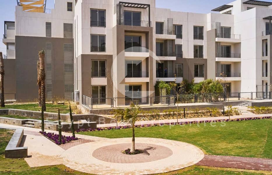 11 Palm Parks 6 1 (Custom). jpg