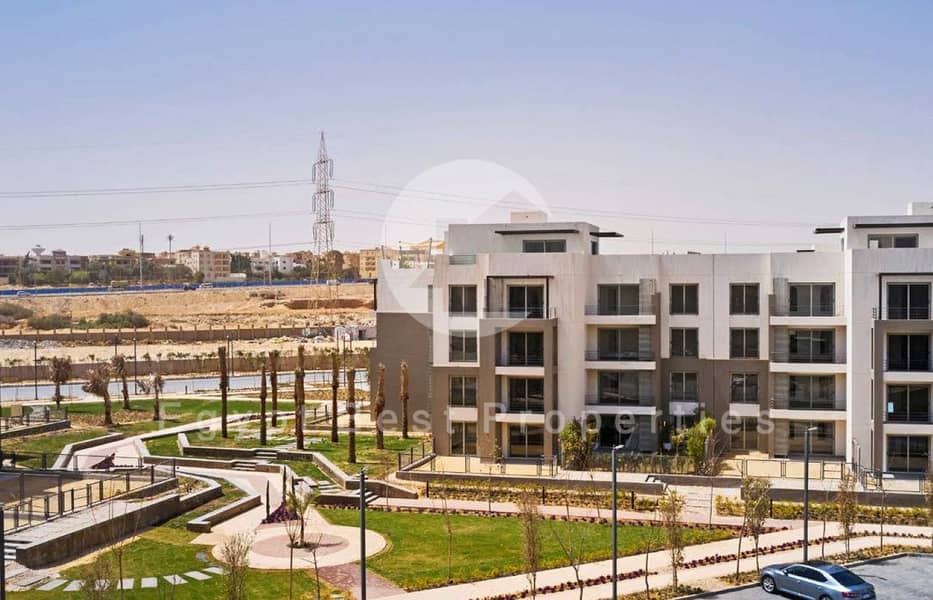 12 Palm Parks 7 (Custom). jpg