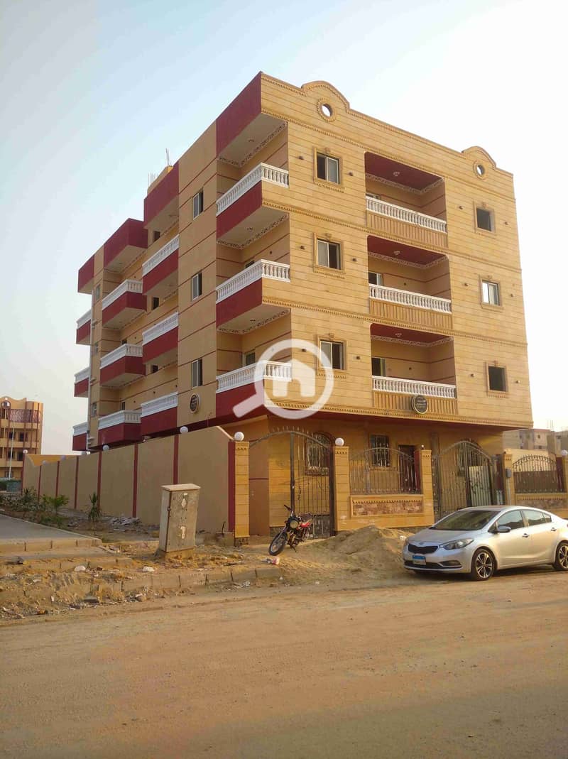 2 IMG_٢٠٢٥١١٠٥_١٦٠١٤٨. jpg