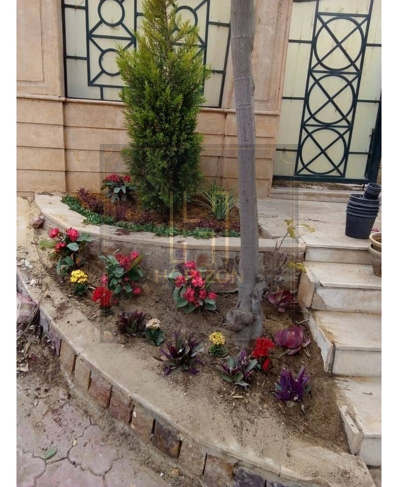 10 WhatsApp Image 2025-11-05 at 3.45. 45 PM (2). jpg