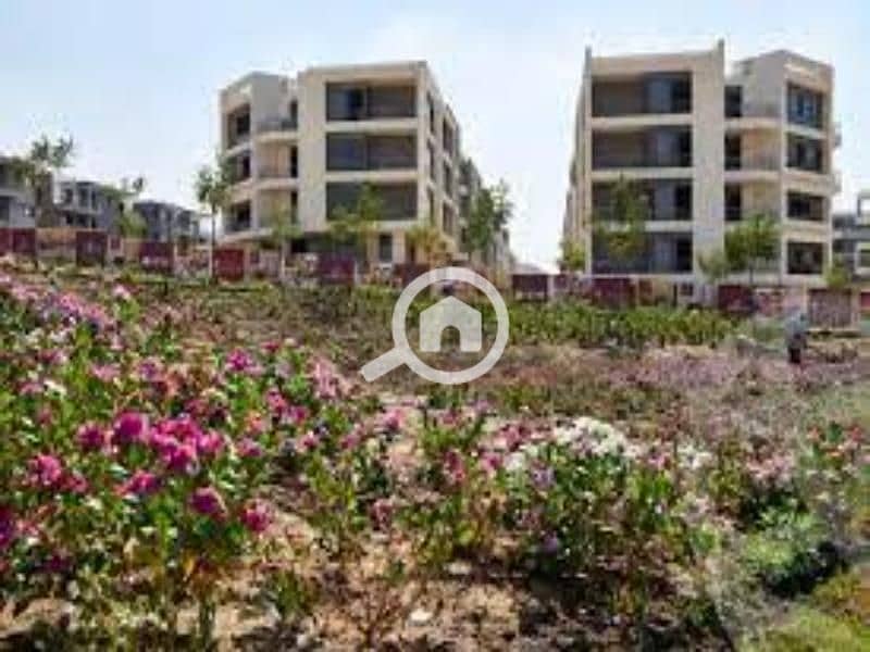 3 images (1). jfif. jpg