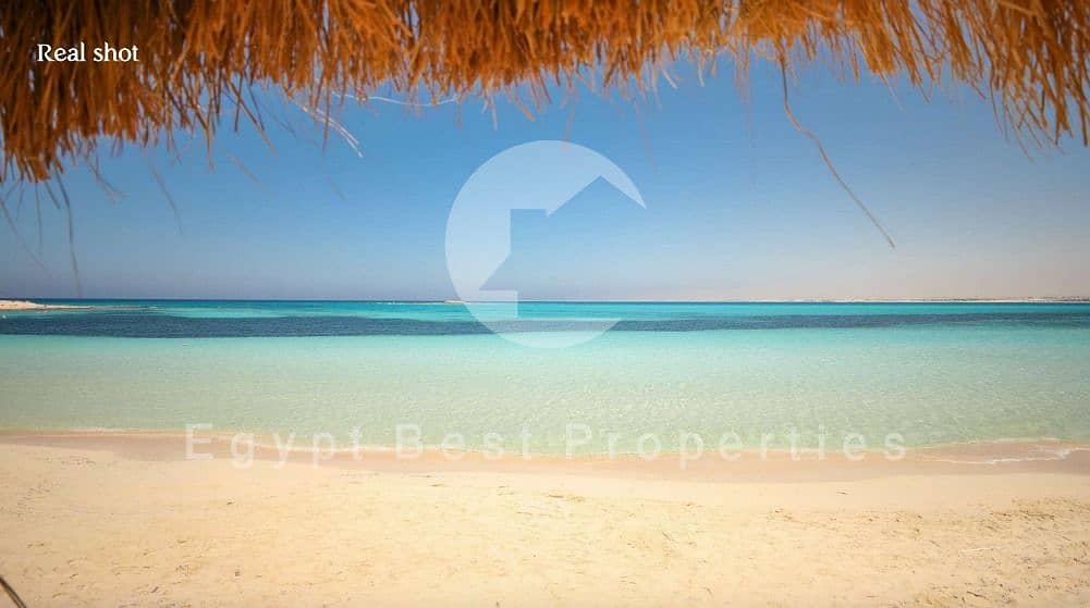 2 WhatsApp Image 2025-08-20 at 1.41. 17 PM. jpeg