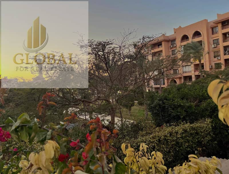 12 1e32ad0b-bed2-4cb1-84d7-006161e130a4. jpg