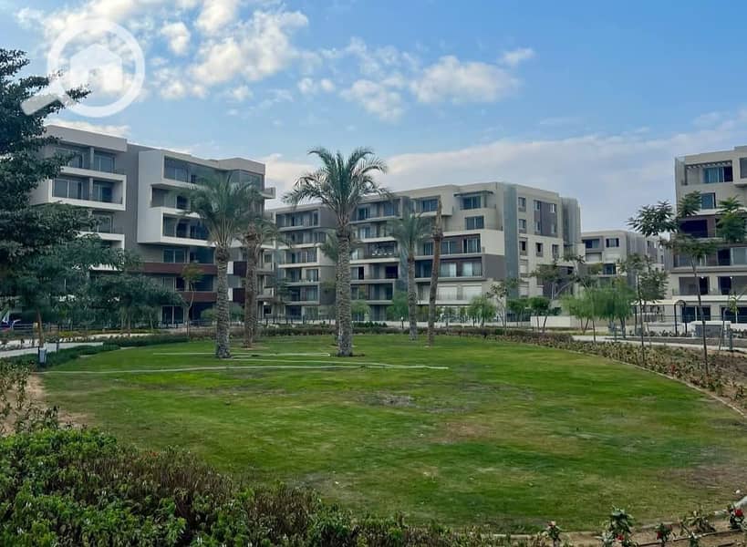 6 FB_IMG_1743334608445. jpg