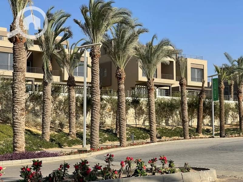 11 FB_IMG_1739105099237. jpg