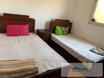 شاليه 2 غرفة نوم للبيع في الساحل الشمالي، مطروح - 69022d8c195b6_WhatsApp-Image-2025-10-28-at-5.37. 55-PM. jpeg