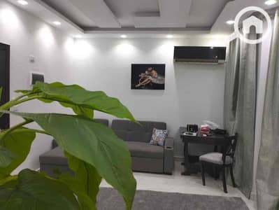 1 Bedroom Apartment for Rent in 6th of October, Giza - ffb8cf87-78d7-4fa6-a9e0-57c4d92ae31e. jpg 1 Bedroom Apartment for Rent in 6th of October, Giza - ffb8cf87-78d7-4fa6-a9e0-57c4d92ae31e. jpg