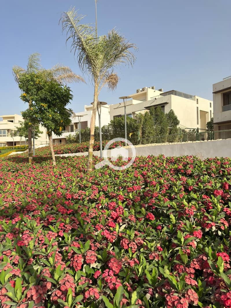 9 WhatsApp Image 2025-05-12 at 16.42. 41 (2). jpeg