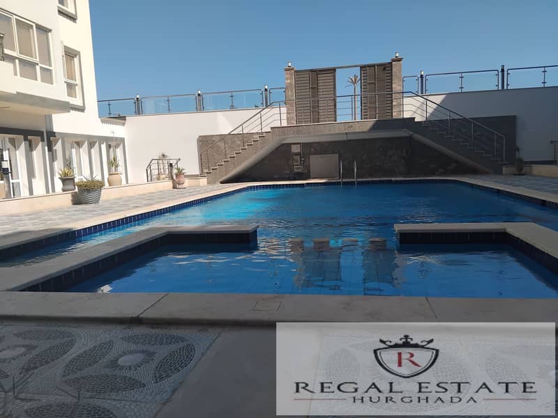 3 IMG_20241102_124836. jpg