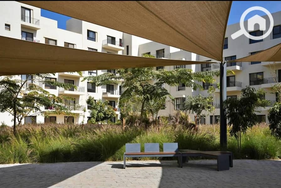 5 WhatsApp Image 2025-05-19 at 13.33. 25_842701b4. jpg