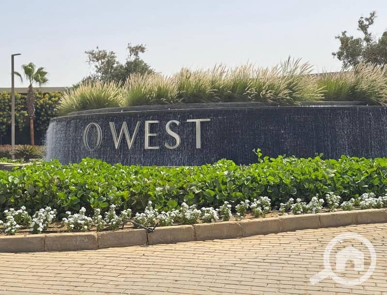 8 WhatsApp Image 2024-11-03 at 17.57. 28_e9093517. jpg