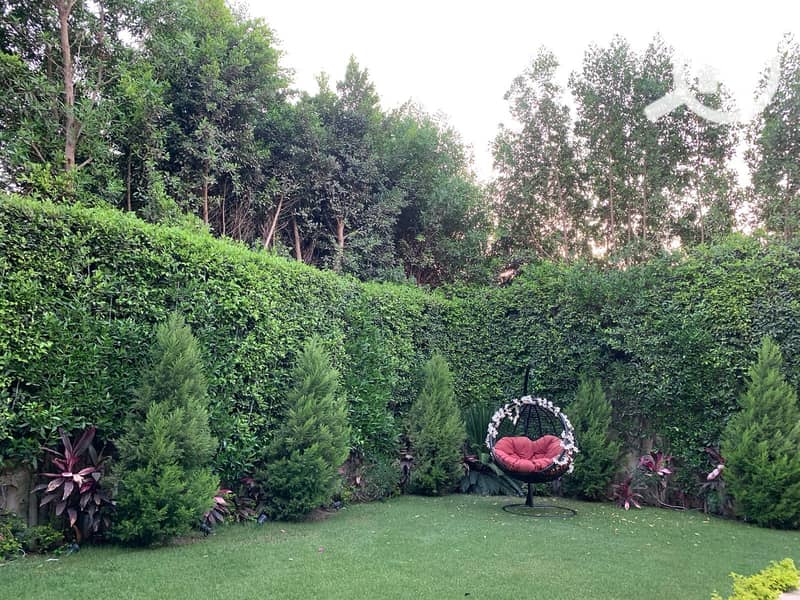 11 207405be-5195-42e3-aee5-7a76a539f82f. jpg