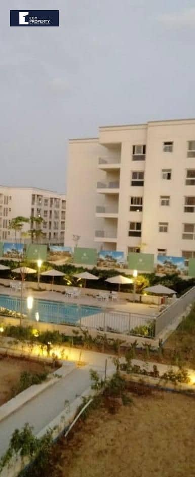 _files_WhatsApp Image 2025-09-11 at 13.15. 57_5ac720d9290a32. jpg _files_WhatsApp Image 2025-09-11 at 13.15. 57_5ac720d9290a32. jpg