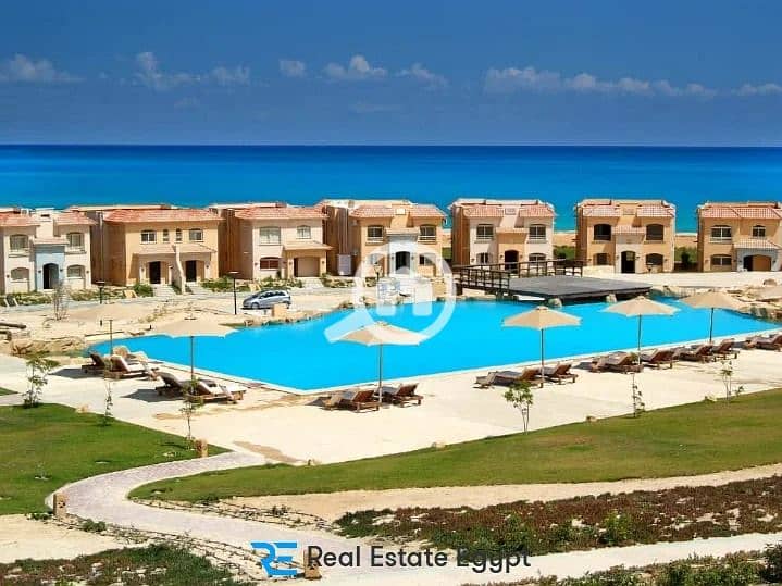 telal. jpeg telal. jpeg