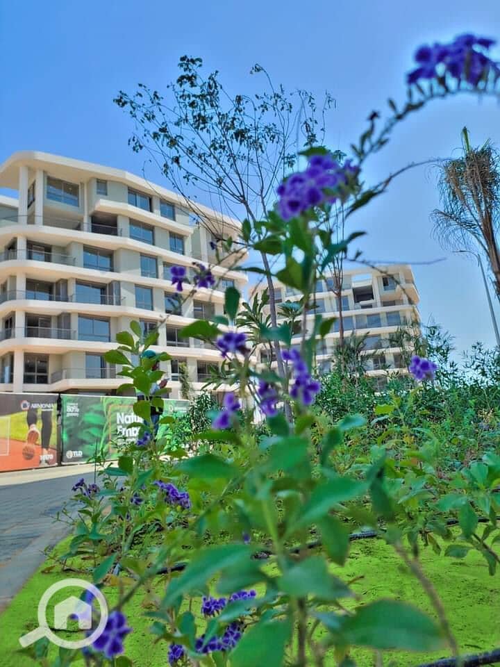 4 ارمونيا6. jpg