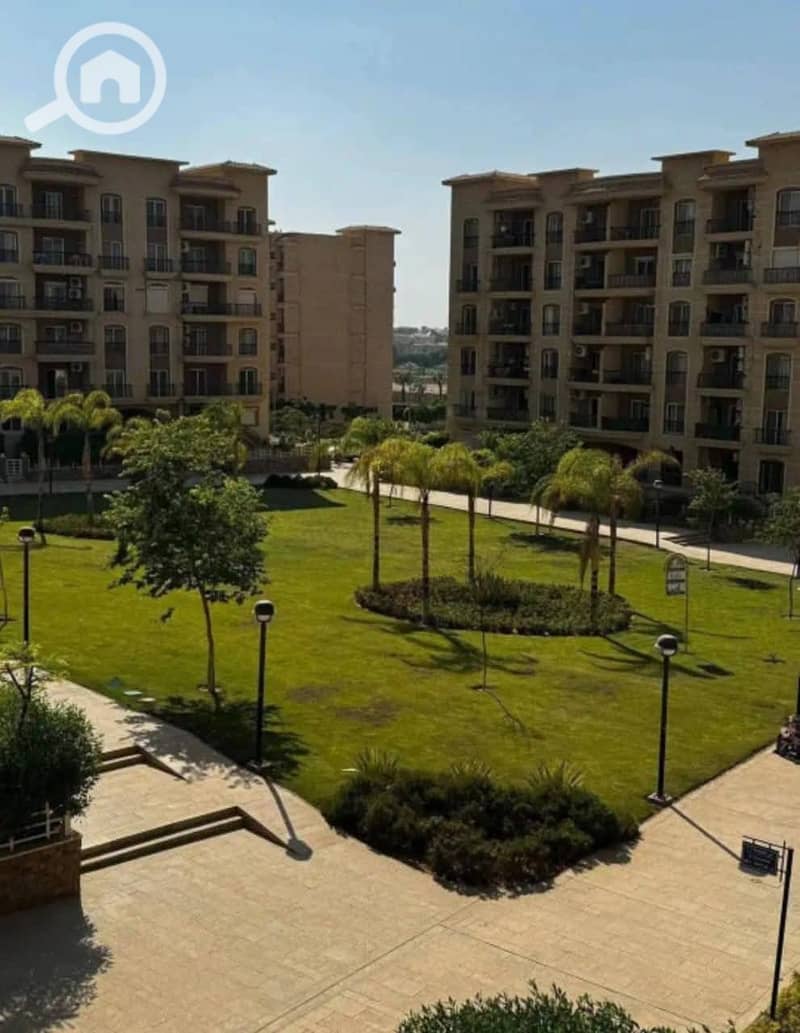 10 560176747_122216594882057873_6709416975649106166_n. jpg