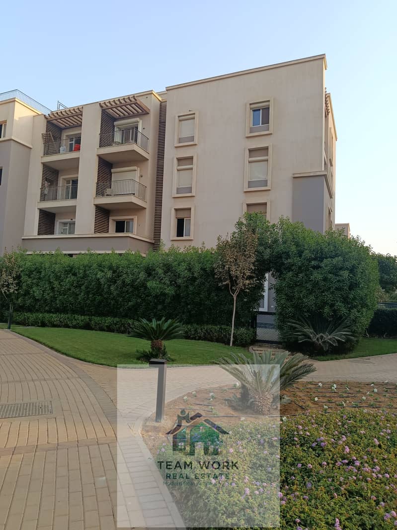 3 IMG_20251105_160416. jpg