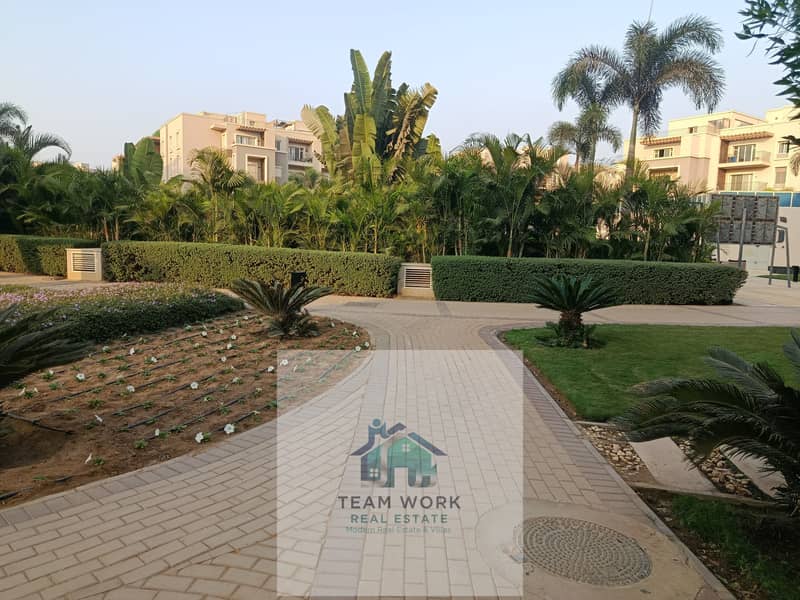 15 IMG_20251105_160344. jpg