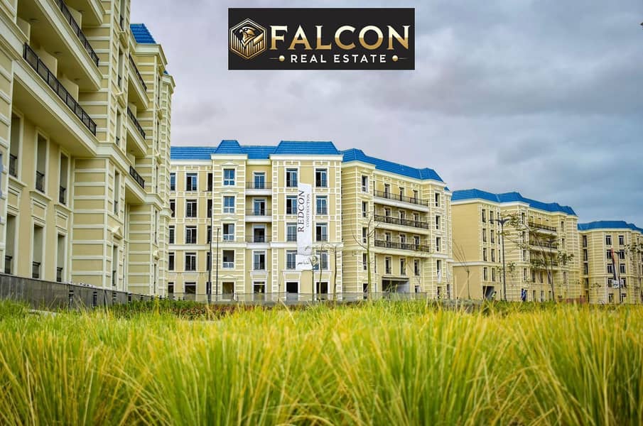 11 WhatsApp Image 2025-08-14 at 16.16. 45_d6b1d7f7. jpg