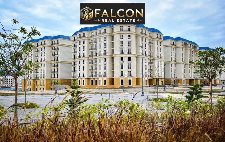 14 WhatsApp Image 2025-08-14 at 16.16. 46_6a9fbd3e. jpg