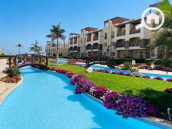 10 548886094_122119603358963402_2843995964235100425_n. jpg