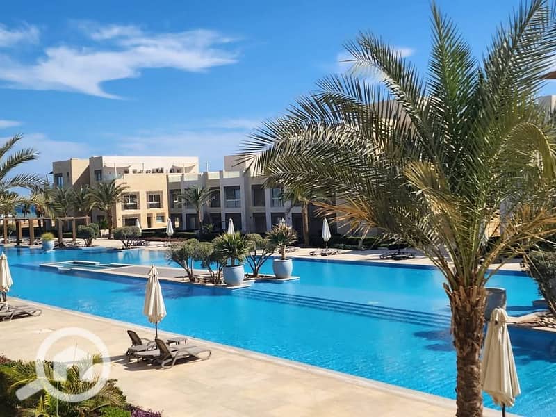 3 WhatsApp Image 2025-08-11 at 15.24. 08_215f7d07. jpg