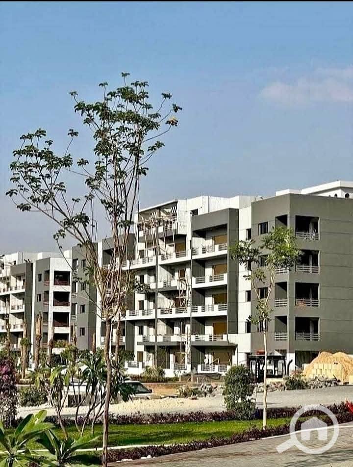 9 WhatsApp Image 2025-09-10 at 16.37. 16 (1). jpeg