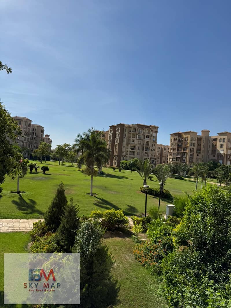 10 8ad29b37-f494-45ef-bdc4-6b100fa31538. jpg