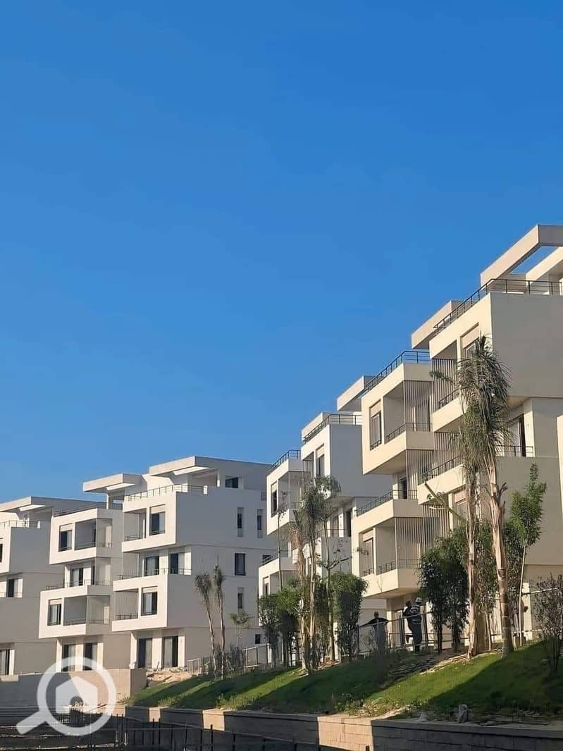 4 559027241_1131122895816632_1294498866416207921_n. jpg