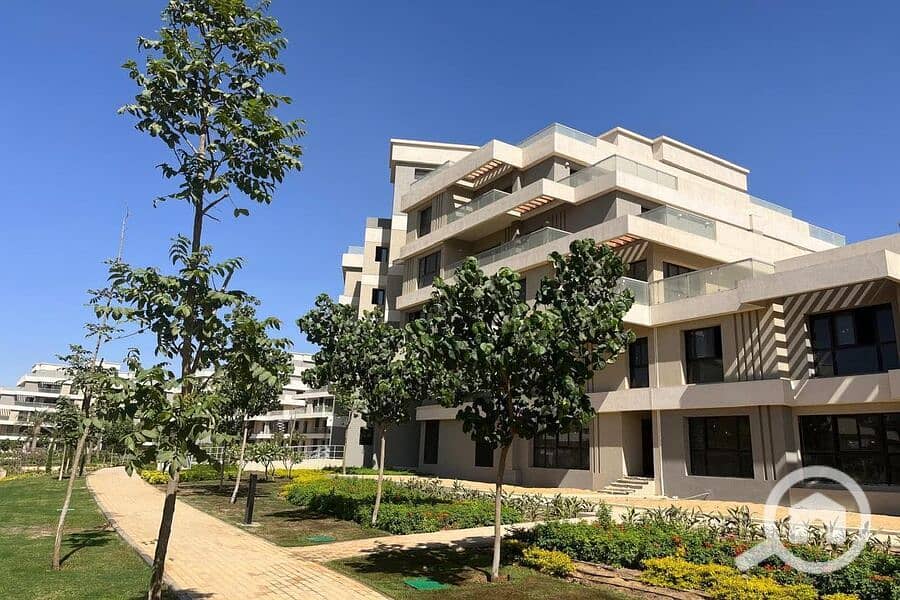 3 WhatsApp Image 2025-01-28 at 00.31. 20. jpeg