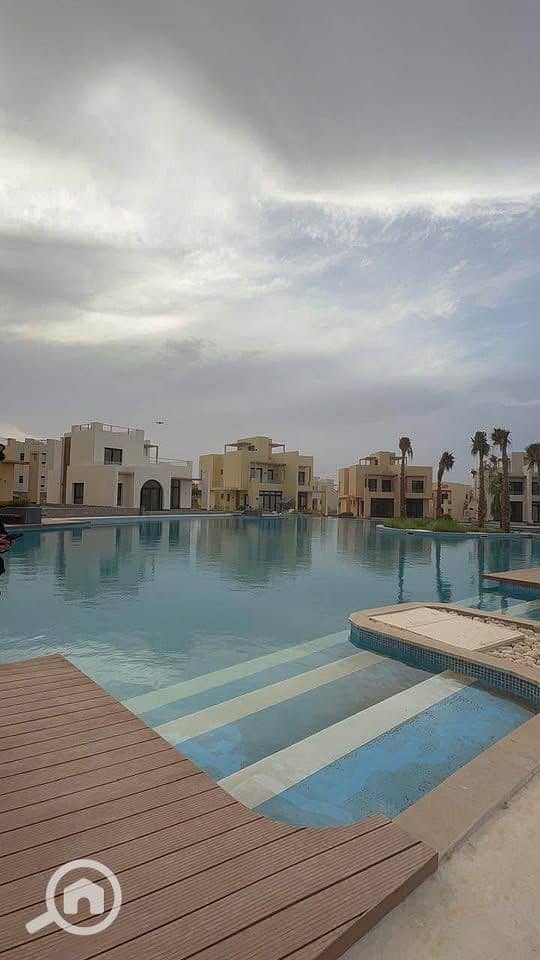 4 496816850_1551653725791181_8341480869621141318_n. jpg