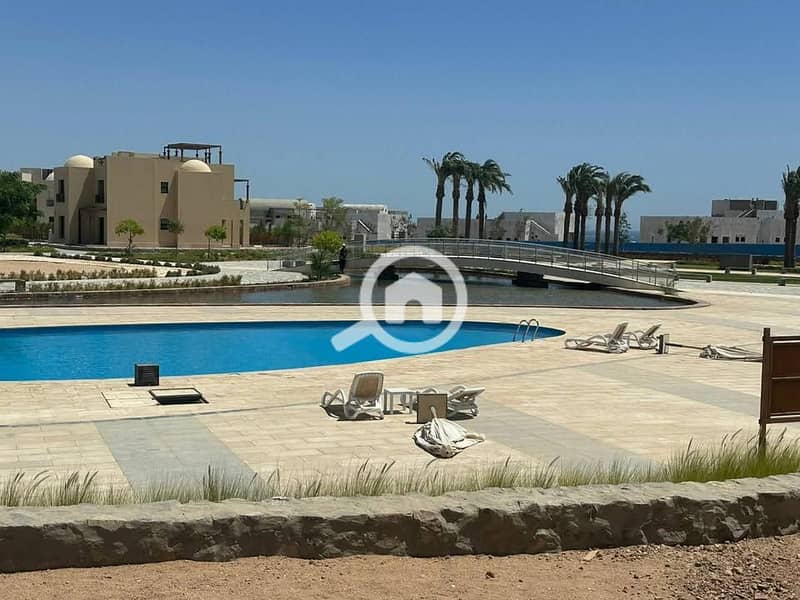 6 540540913_1273709620625587_4874077332682116344_n. jpg