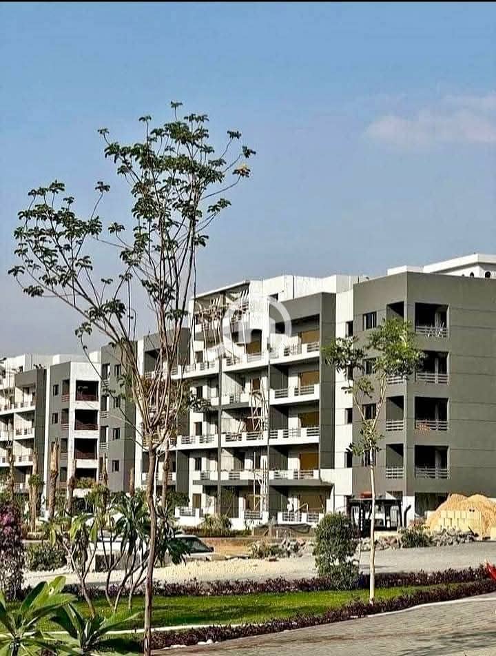 8 WhatsApp Image 2025-09-10 at 16.37. 16 (1). jpeg