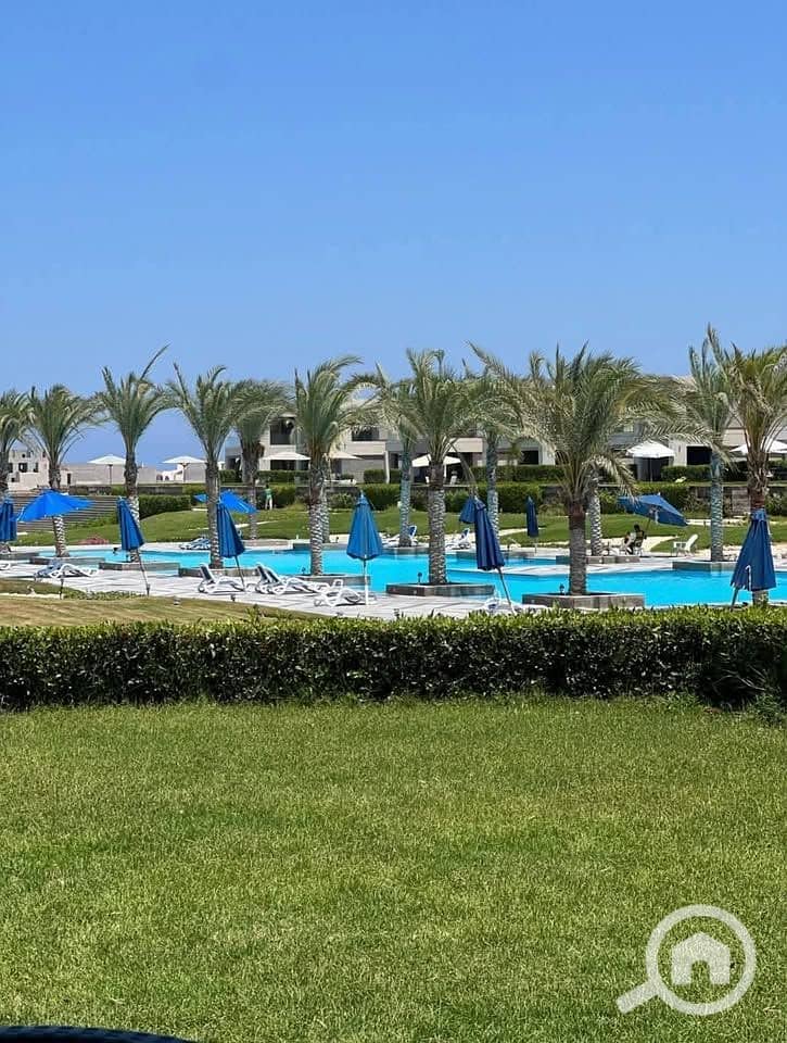 8 532272325_1994803377998632_5882509940275509652_n. jpg