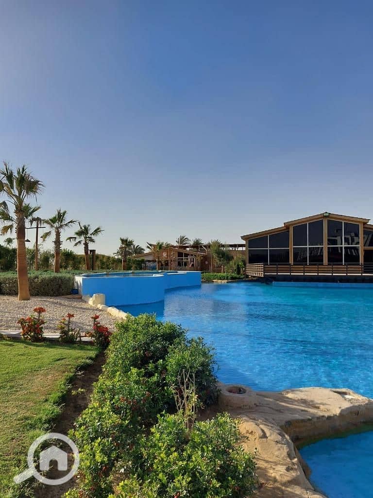 2 00D01097-BEBA-4F5A-A6D4-98545F4CACFB. jpeg