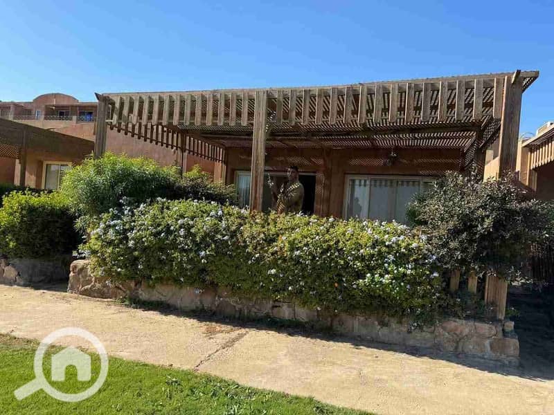 1000537118. jpg 1000537118. jpg