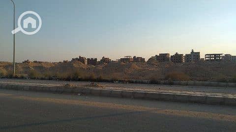 5 WhatsApp Image 2025-10-31 at 3.53. 54 PM (1). jpeg