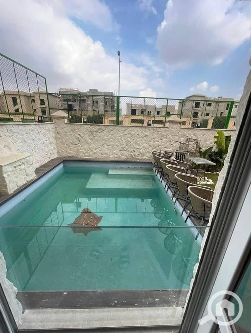 4 photo_2025-03-17_00-12-31. jpg