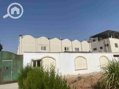 Factory for Rent in 10th of Ramadan, Sharqia - 1000102583. jpg