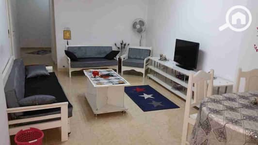 2 Bedroom Apartment for Rent in Smoha, Alexandria - IMG-20231003-WA0007. jpg 2 Bedroom Apartment for Rent in Smoha, Alexandria - IMG-20231003-WA0007. jpg